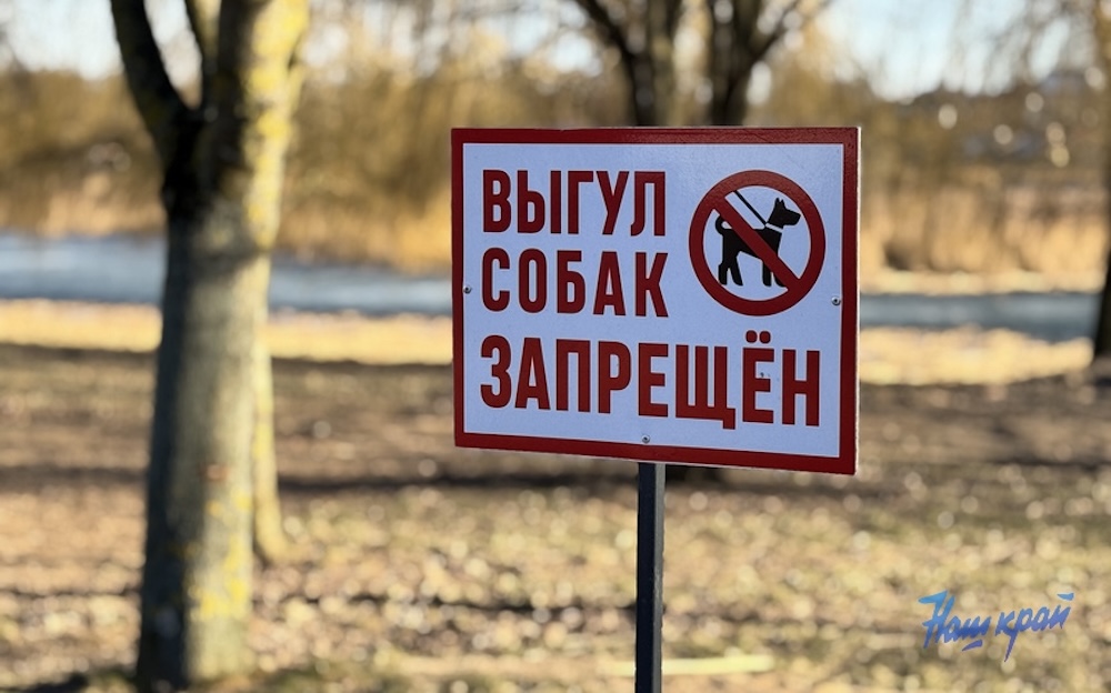 Иллюстративное фото