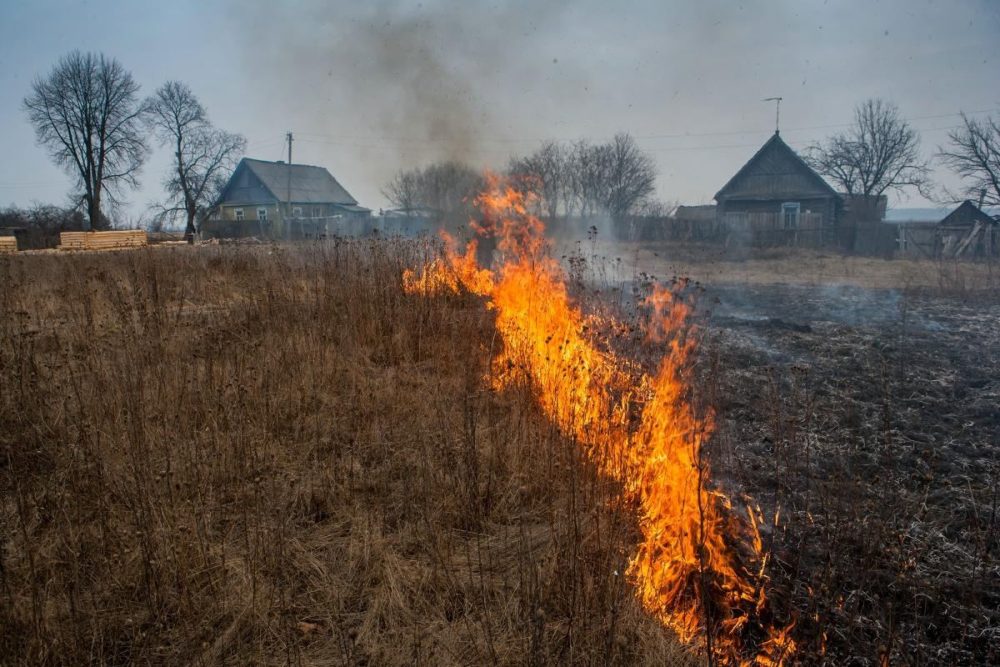 возгорание травы