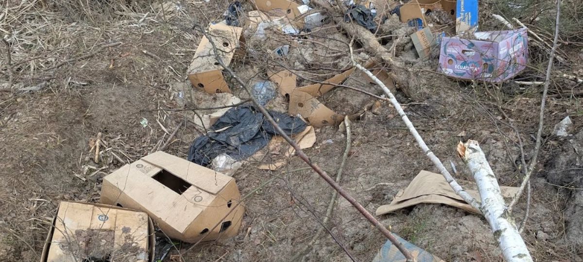 Мусор в лесу около Плоски в Бресте