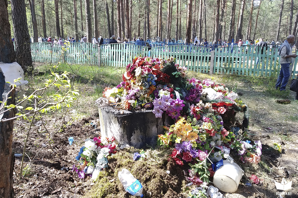 Пластиковые цветы на одном из кладбищ в Беларуси
